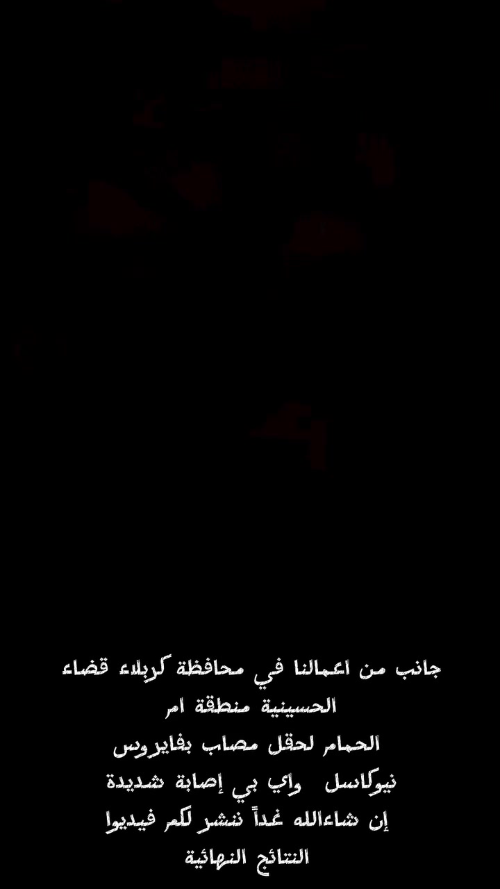 جانب من اعمالنا في محافظة كربلاء قضاء 
الحسينية منطقة ام 
الحمام لحقل مصاب بفايروس
نيوكاسل  واي بي إصابة شديدة 
إن شاءالله غداً ننشر لكم فيديوا
 النتائج النهائية


**إذا كنت صاحب هذا الإعلان وتريد حذفه لأي سبب، رجاءا أرسل رسالة إلى الدعم الفني**