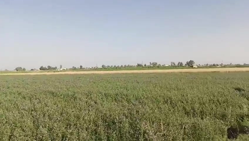 يوجد 5 دونم في مدينة الرمادي الجزيرة البوحمد منصور بالقرب من مخازن البتيته سابقآ .

سعر الدونم الواحد 75مليون وقابل للتفاوض.

طابو زراعي تنازل مباشر.

📍 موقع مناسب للاستثمار وقريب من الطرق الرئيسية.
📞 للاستفسار:
*********** واتساب
***********

📍 أو زيارة مكتبنا:
مكتب شمس الرافدين للعقار
طريق الثرثار – قرب الطاحونة.
