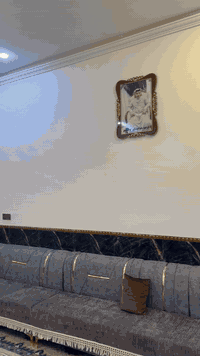 خلي بيتك ويانه غير 
تصميم …تنفيذ …كادر متخصص للديكور ولاصباغ 

تصميم   تنفيذ.  اشراف. 
جبسن بور د 
بوردكس 
بديل الخشب الداخلي والخارجي 
الشيبورد والرخام 
بديل الحجر والزرع 
كافة الاصباغ والمعاجين
تغليف الواجهات بالفوم التركي 
تنفيذ الاعمال الخاصه بالملكي وسحبات. الجداريه
استفسار اكثر مراسلة او للتصال على لارقام
‏‪***********‬‏
***********
