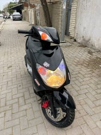 سكنس فحل • كابريتر • بدون اوراق