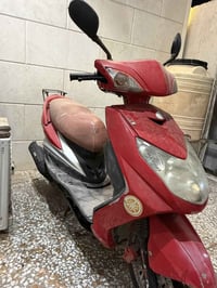 دراجه سكنس فحل كوري للبيع مكاني بغداد الاسكان للاستفسار 07756613376