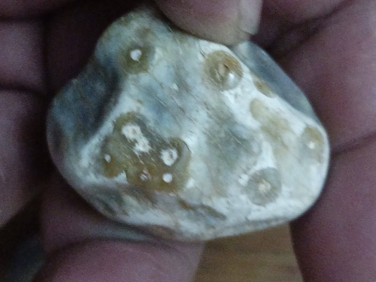 خام طبيعي أصلي قديم حجر كامل مامجروخ ملاكط سليماني عطف راقي جدا توصيل محافضات 75قفل


**إذا كنت صاحب هذا الإعلان وتريد حذفه لأي سبب، رجاءا أرسل رسالة إلى الدعم الفني**