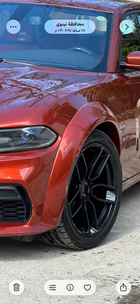 ويل srt  طخم للبيع مستعمل 
الي يفيده يخلي سعره موصل, نينوى


**إذا كنت صاحب هذا الإعلان وتريد حذفه لأي سبب، رجاءا أرسل رسالة إلى الدعم الفني**