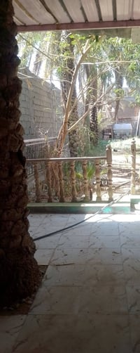خلف جامعة العميد • طابو زراعي • ٥٥٠م