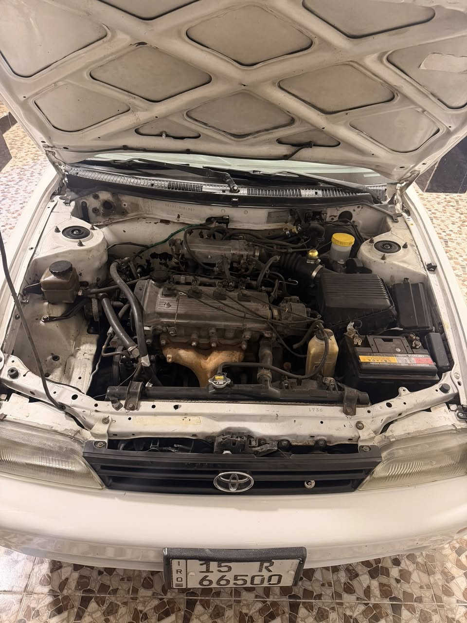 كورله للبيع موديل1994مصبوغه عام بيه بابين مبدله رقم انبارمميز بسمي هزه فحص جديد دوشمه جديد تخم تايرعنبار بريك جديد مشط ستيرن جديد محرك كفاله وكيرمكان الحبانيه السعر48 بيه مجال قليل


**إذا كنت صاحب هذا الإعلان وتريد حذفه لأي سبب، رجاءا أرسل رسالة إلى الدعم الفني**