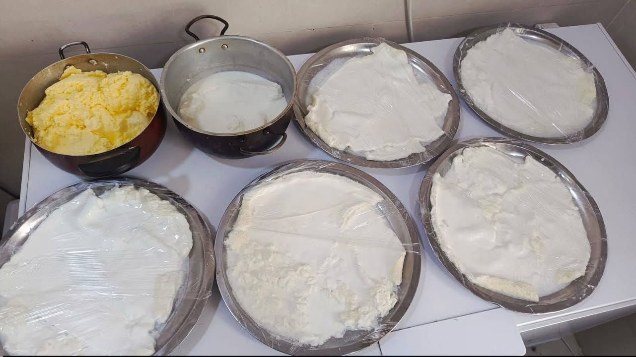 سلام عليكم ورحمه الله وبركاته حليب جاموس اصلي وكيمر عرب ودهن حر وزبد مال عرب وروبه جاموس كلشي متوفر عندي أمانت الله كله اصلي أدمن وافق اخيك رحم الله والديك


**إذا كنت صاحب هذا الإعلان وتريد حذفه لأي سبب، رجاءا أرسل رسالة إلى الدعم الفني**