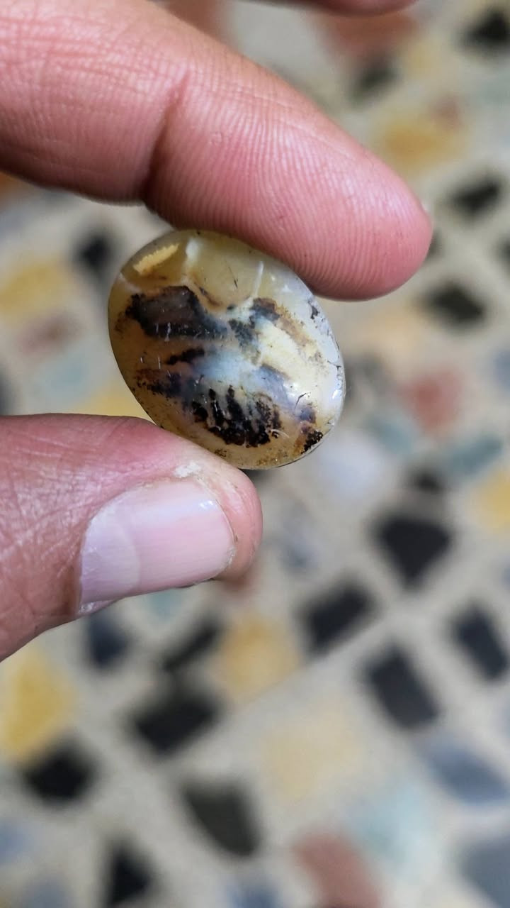 سليماني او شجري يماني او داودي ما اعرف شني من حجر بس قديم جدن ومصور او كلمت لله او مصور نساء واقفات للبيع الحجر مكاني بغداد توصيل لا يوجد سعر خاص خاص خاص خاص خاص خاص


**إذا كنت صاحب هذا الإعلان وتريد حذفه لأي سبب، رجاءا أرسل رسالة إلى الدعم الفني**