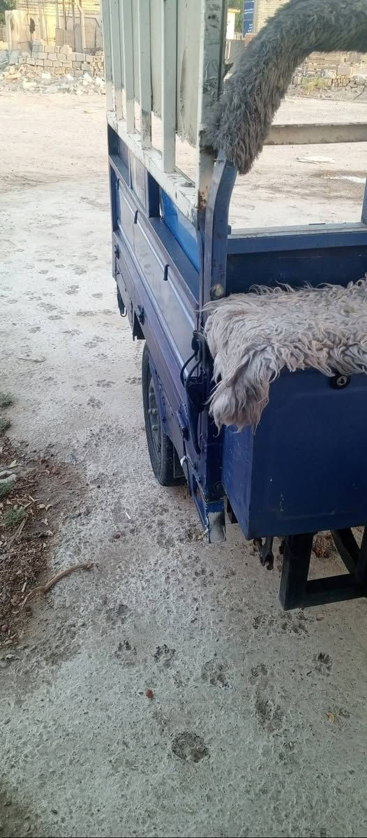 سلام عليكم ستوته البيع موديل 2019 كله شغله كهربائي كله تشتغل أوراقه كامله اي نقص مابيه راده بواحد 400 قفلهه  مكان بغداد المحموديه حي الجزائر رقم الهاتف بي واتساب *********** 
 *********** رقم ثاني
