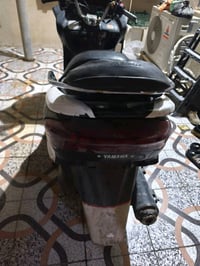 ماجستا • شغاله • بصره حيانيه