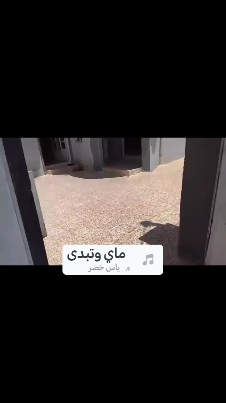 السلام عليكم الدار معروض للبيع في الرشيديه قطاع السادس قرب جامع حاج ادريس المساحه 210 متر استفسار على الرقم *********** وتساب البيت واجه قبله واجه50♥️ 12 سعر 85 وبي مجال
