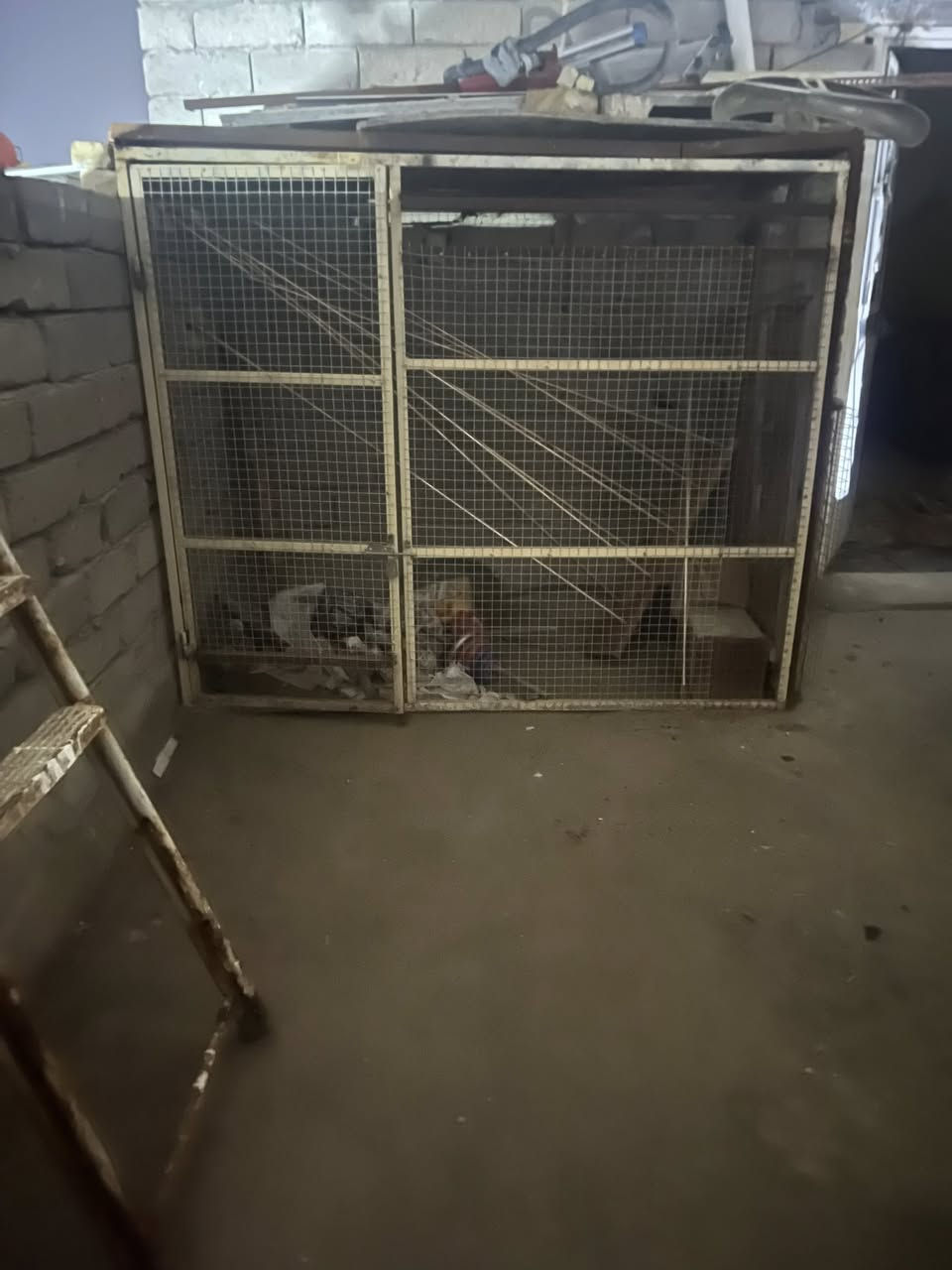 غراض بيت كلهن جدد شرط للبيع كلمن وسعره تريده اخذله سكرين وراسلني واسأل ***********
