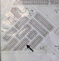 عامرية الفلوجه • طابو ملك • ٢٥٠م