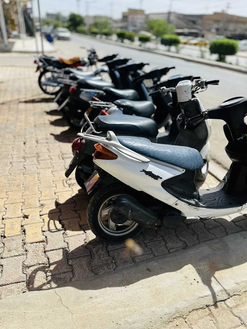 سلام عليكم درجات نضيفه للبيع تجي وتشوف بعينك منغوليات اتلاثه خوات الحاويه ما مفتوحات وبطات ثنين واكزز وبوليس المكان كربلاء سوك الاخير مقابيل قاعة الابداع للتواصل***********
