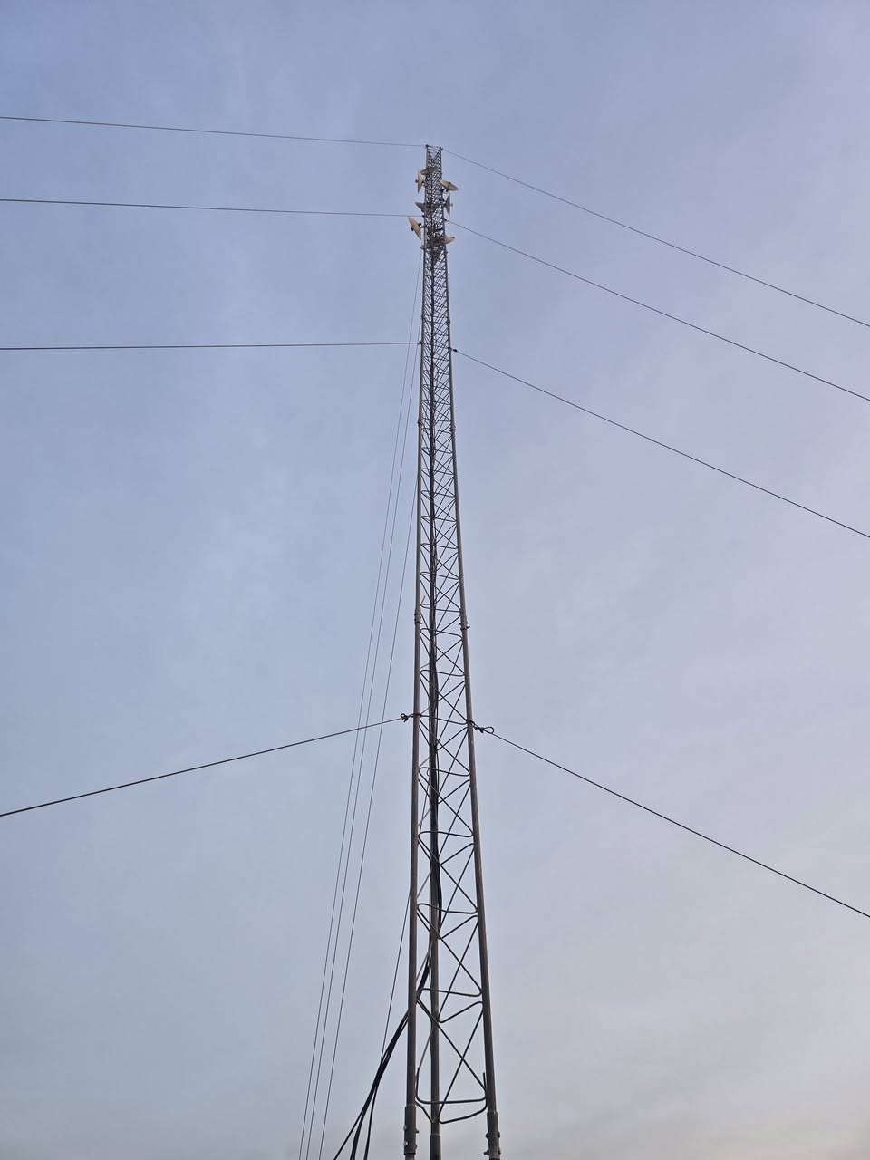 تم نصب ٢٤ م بابل اسكندريه.
***********
علاء
