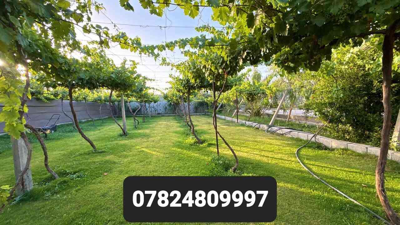 متوفر حجوزات يوميه مزرعه ازهار الربيع
