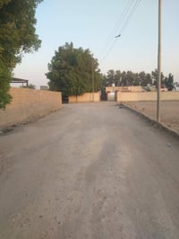 البصرة الزبير • ١٠٠٠م • عقد زراعي