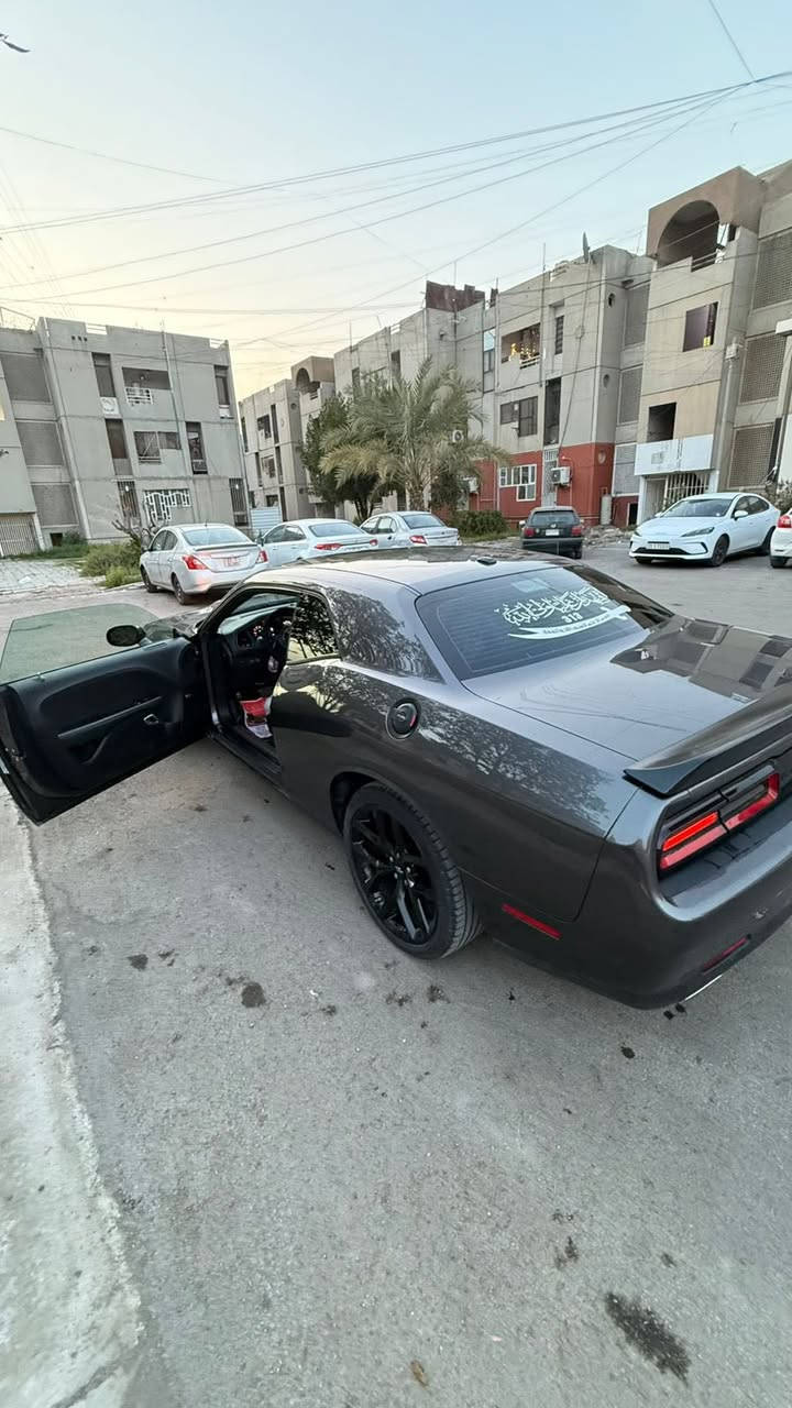 جالنجر لاست كول 2023
سلام عليكم

من القطع النادره 

ماتصور اكو جالنجر بهيج نظافه وحادث وموديل وسعر
اخويه العزيز اقره المنشور وشوف صورها زين وخابر وتدلل 

سبب البيع لظرف ومحتاج نقد

للبيع دوج جالنجر GT 2023 لاست كول الاصدار الاخير
محرك V6 / 3.6 المرغوب كير محرك صدر كفاله السياره مماشيه هوايه اصلاً 

السياره جديده ماشيه فقط 24 الف مايل فقط 

رقم بغداد انكليزي الجديد وشرط رقم مميز جداً
السياره بسمي شخصياً تحويل مباشر باسمك ثاني يوم

حادث السياره موضح بالصور بدون دواخل ابد كدامكم مجرد طخطخات وراجعه شغل درجه اولى صفاح السياره شرط موس وتجي تشوف بعينك مو سوالف 5 قطع صبغ فقط

السياره بدوووون ايرباك والصور كدامكم جديده الله يشهد وبدون تزويد ابد مملعوب بيها على وضع الستوك / شركه

السعر المطلوب 189 ورقه وبيها مجال بسيط ان شاء الله

مكان السياره حي السلام او حي الجهاد

للتواصل *********** ابو مريم
