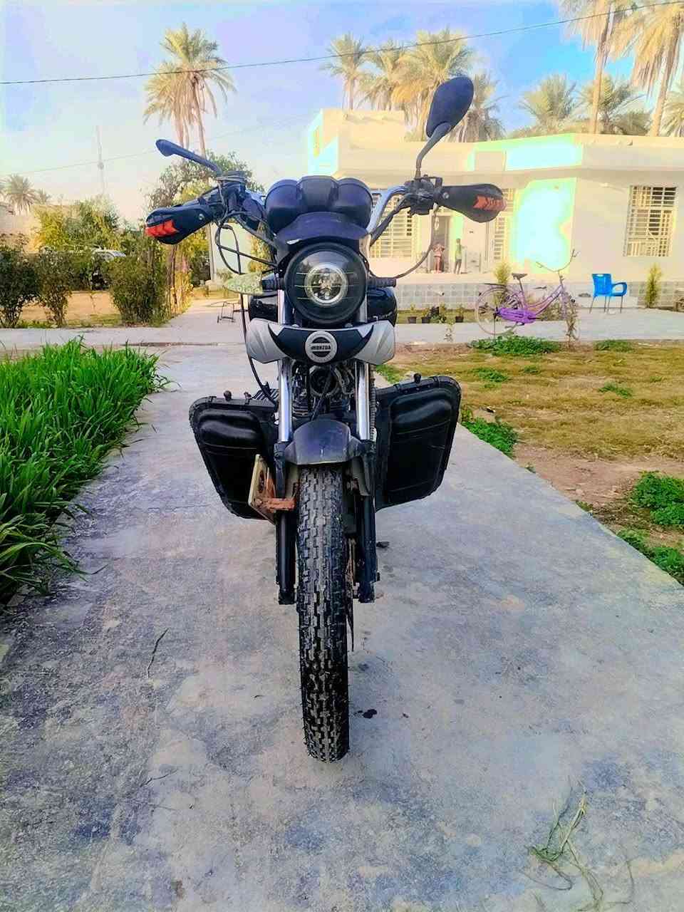 دراجه هو شه جديده ما مفتوح برغي بيه أوراق صولي سعر ٨٠٠ المكان بابل الحمزه الغربي ***********
