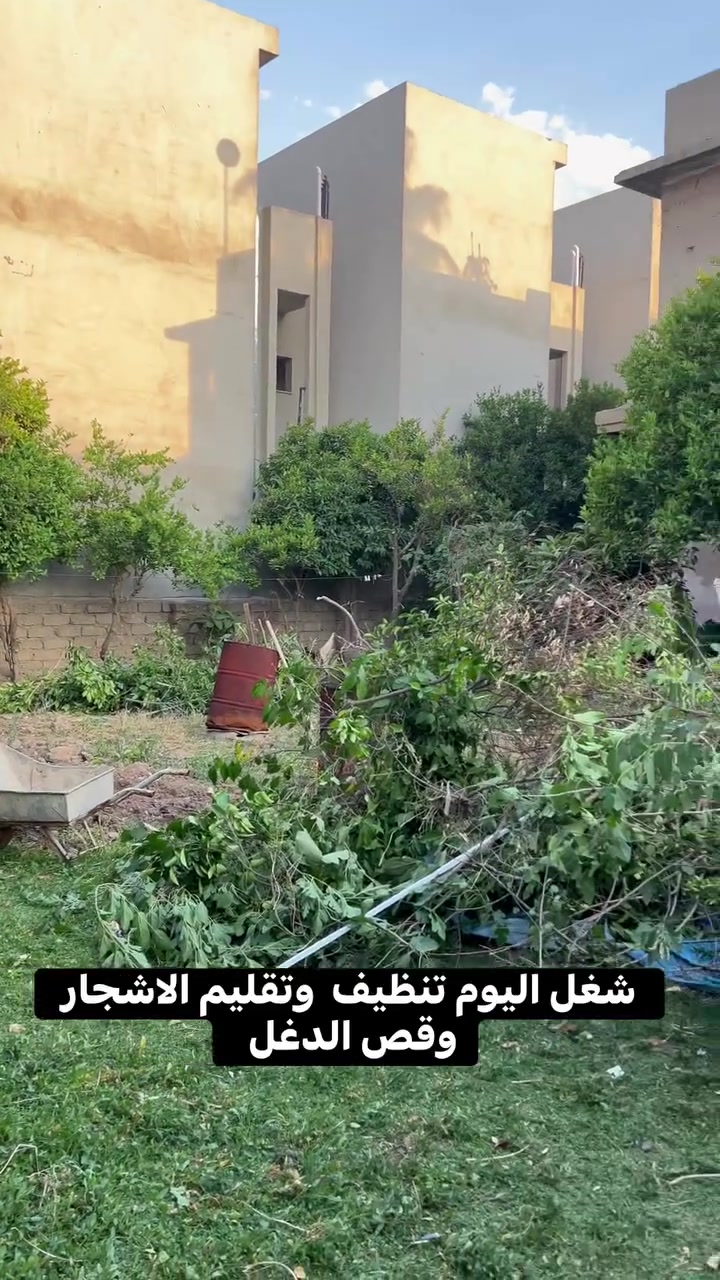 - فخامة الطبيعة بين يديك حيث يلتقي الإبداع مع الجمال لنصنع لك مساحة تنبض بالحياة...
. تصميم وتنسيق حدائق داخلية وخارجية باحتراف تنفيذ شلالات ونوافير عصرية تضيف لمسة فخامة منظومات سقي حديثة وذكية مكافحة حشرات بأحدث الطرق
تجهيز المنازل والشركات بأجود أنواع الأشجار والنباتات
جودة عالية
٧ أسعار تنافسية
٧ تنفيذ دقيق بإشراف مختصين
) للحجز والاستفسار:
*********** متواجد واتساب
