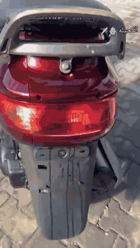 دراجة للبيع • فراشة مفتوحة • بصرة أبو الخصيب