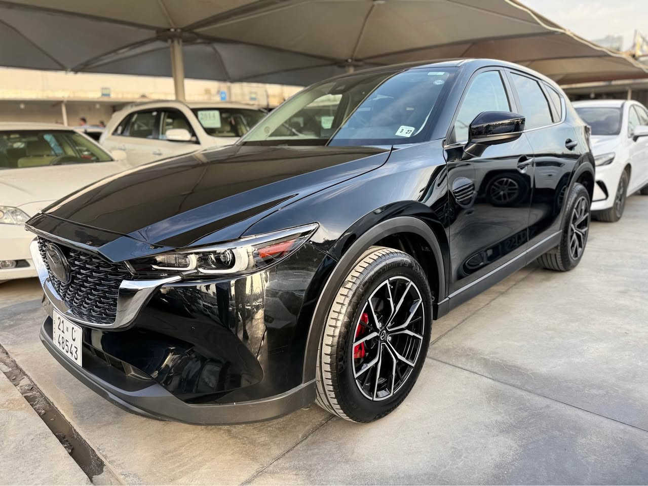 بسمالله الرحمن الرحيم 

مازدا cx5 prferd2022
كوشن جلد 
كوشن هيتر 
دةرگا جةگ 
كامل رادار 
دةبل اكسل 
مكينة ٢،٥ بئ توربوو مرخوب 
ويل تاية گةورة 
هيچ ارباگ نةتةقيوة 
بونيت بوياخ بئ ناو گرتن 
رةقةم سلماني جاهيز 
نرخي ١٦٧ ورقة مجاليكي كةم 
ژم شاصي.  JM3KFBBM7N0558199

0770 152 5035      

0770 151 9905 السليمانية, العراق
