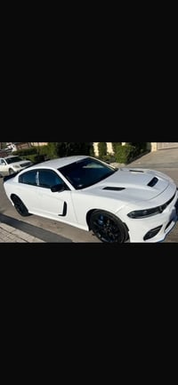 اس اكس تي • ٢٠١٩ • رقم بغداد