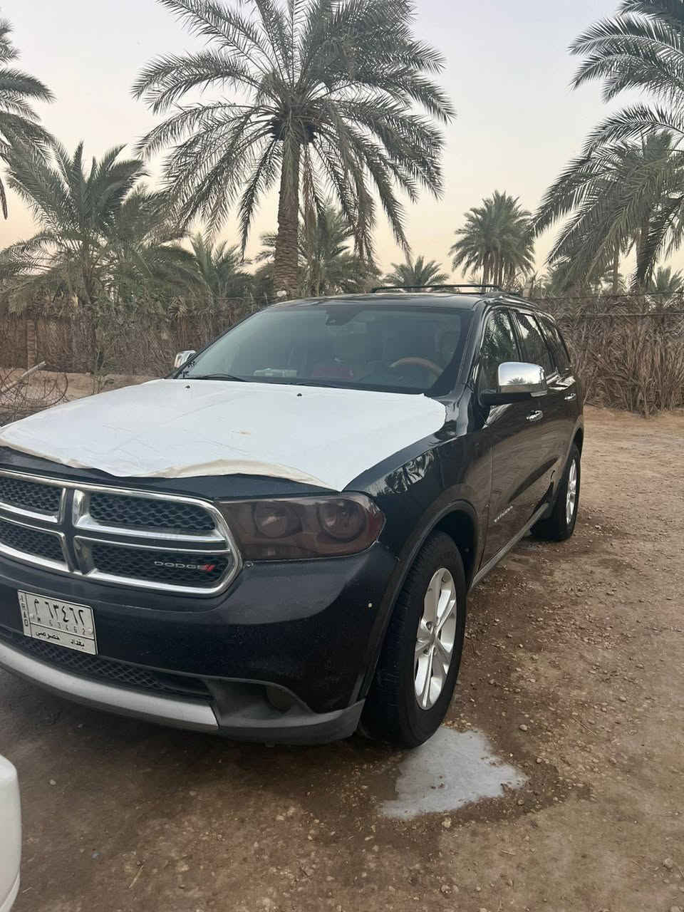 سلام عليكم دورنكو موديل 13 بغداد مشروع وطني شرط المداور بيه جاملغ امامي وبنيد صبغ فقط بدون دواخل والباقي مكفول كوله مكينه 3600  فول مواصفات فتحه السياره مفوله مواصفات ماشيه 238 الف كيلو جنطه كهرباء تبريد ثلج ٣ قطع مكينه كير حداديه جديده تخم تأيز سياره جاهزه مكاني بابل السعر 155 وبيها مجال شرط المداور ***********
