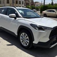 كروز • ٢٠٢٤ • ٢٥٠٠٠ كم