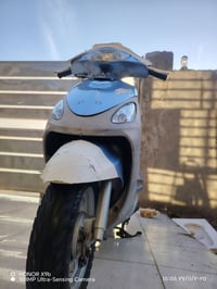 ماكس مغولي • رميثى • ختم واحد