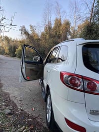 سنتافي • ٢٠١١ • ٧ راكب