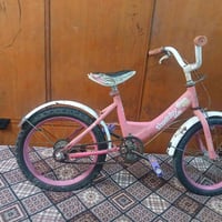 بايسكل بناتي • حجم ١٦ • فلوجه