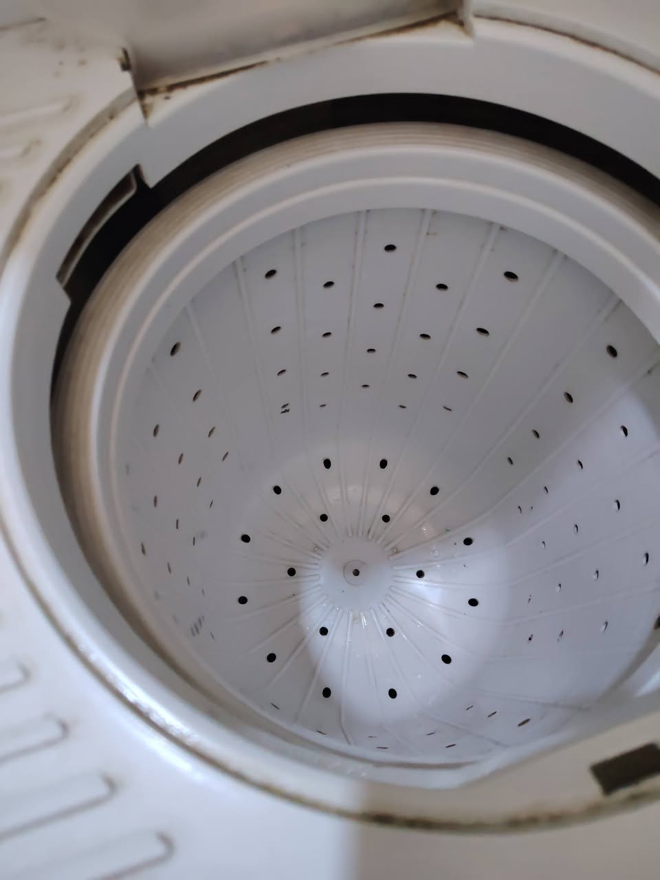 نوعيتهه كونكا الاصليه ١٤ كيلو  تغسل بطانيه ضررهه فقط القايش فالت مال الغسل اريدهه ٧٥ ماخذتهه ٣٥٠


**إذا كنت صاحب هذا الإعلان وتريد حذفه لأي سبب، رجاءا أرسل رسالة إلى الدعم الفني**