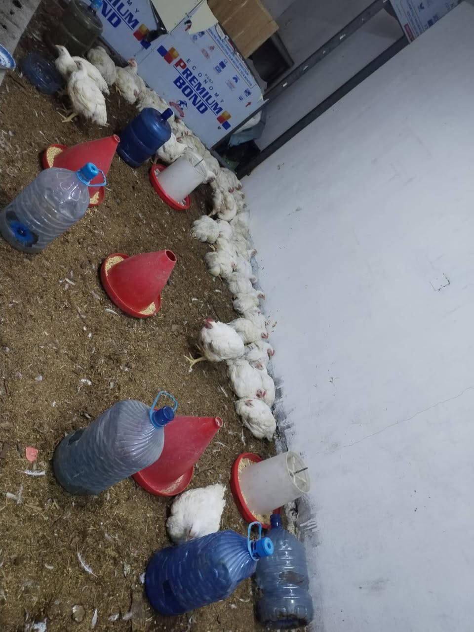 متوفر محل مع كافه الاغراض
المكان بغداد: الدوره، نزله جسر كرارة التواصل ع رقم،
***********
