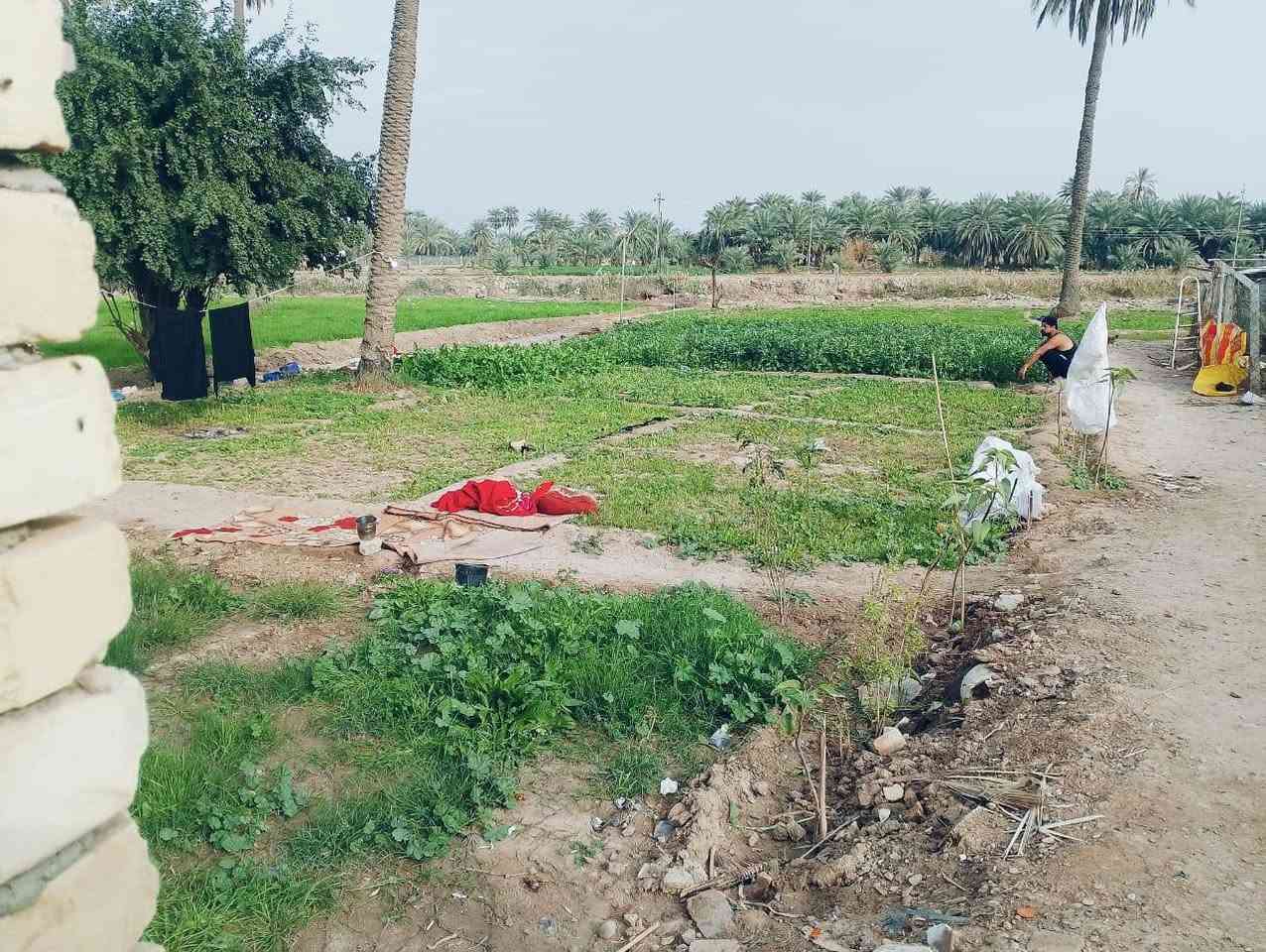 نص دونم زراعي سند 25طابو زراعي عشط توجد كل لخدمات تبليط ماء بيت مساحته 220بناء حديث والمساحه المتبقيه 900متر السعر 190العنوان حي العسكري شارع الساله ***********
