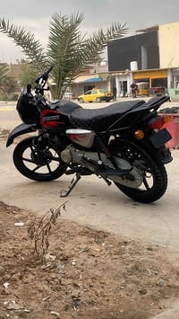 بوكسر • جبلي • ٢٢
