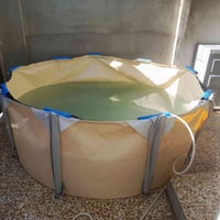 بحيرة • مو مسبح • للبيع