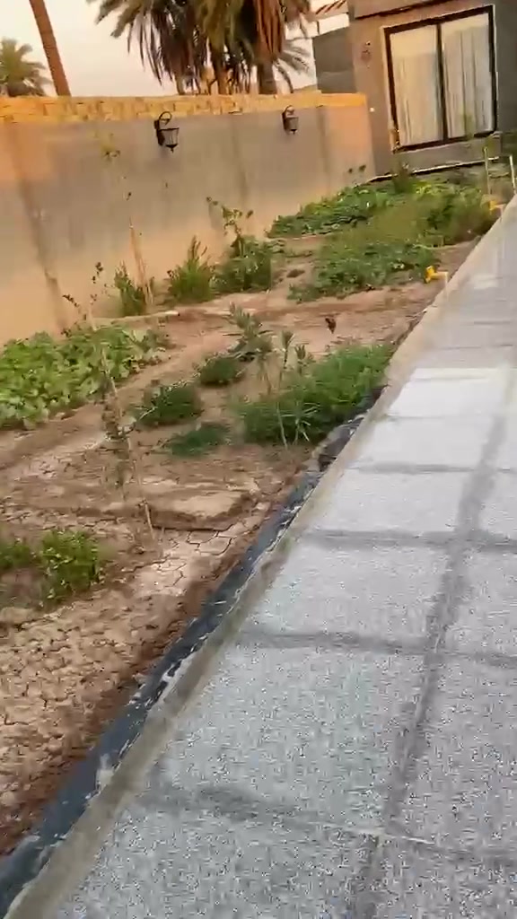 بيت للبيع المساحة ٥٠٠ متر طابو زراعي سند 25 مساحة البناء 220 والباقي حديقه مع طرمه كبيره
يتكون من غرفتين كبار بالاضافه الى صااله كبيره ومطبخ حار وبارد وصحيات وحديقه داخليه 
بناء درجه اولى 
الموقع الجمعيات حجي حسن الثانيه نهاية شارع المولده
للاستفسار اكثر يرجى الاتصال بالرقم ادناه
 ***********

