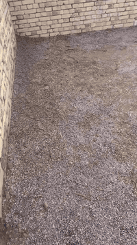 من رخصة المسؤل🌹من ميسان العمارة رقم تليفوني واتساب هم بية *********** قلع ارضيات تنكير تفليش تصعيد تراب تصعيد طابوك تصعيد رمل تصعيد شتايكر كافة المواد مساوات بتالو لبخ بتالو تزفيت بتالو كافة الاعمال
