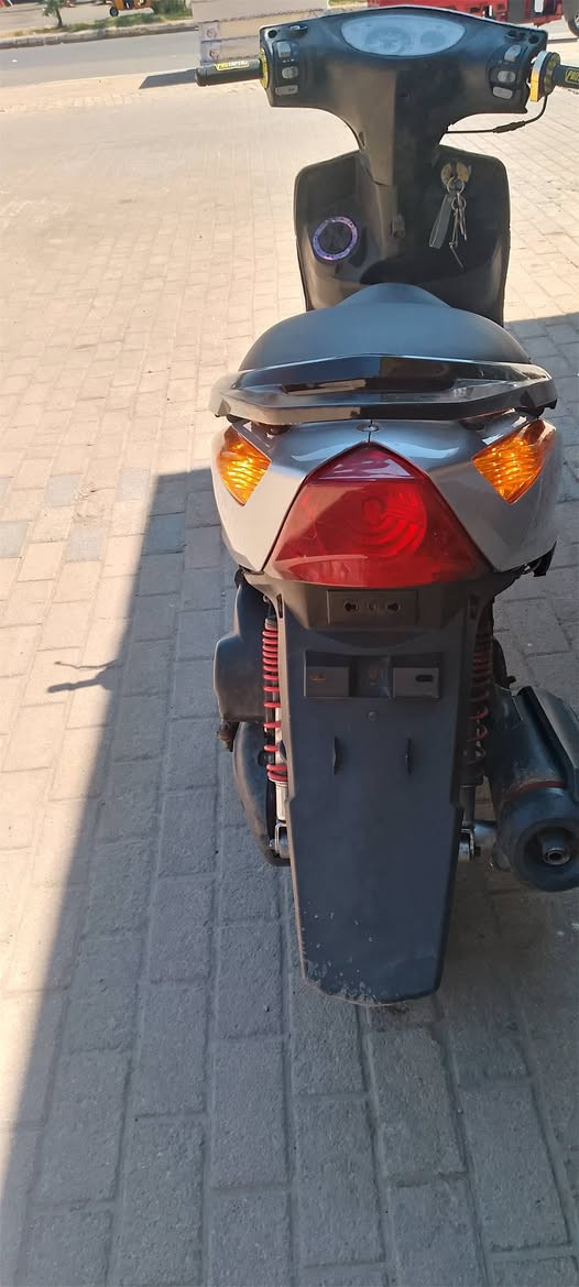 ماكس ثعلب البيع اومراوس مكفولة شلعه ومعدل فول سعر650الف بغداد مدينه صدر ***********
