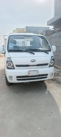 فحل ١٥ • مكفولة صبغ • كربلاء