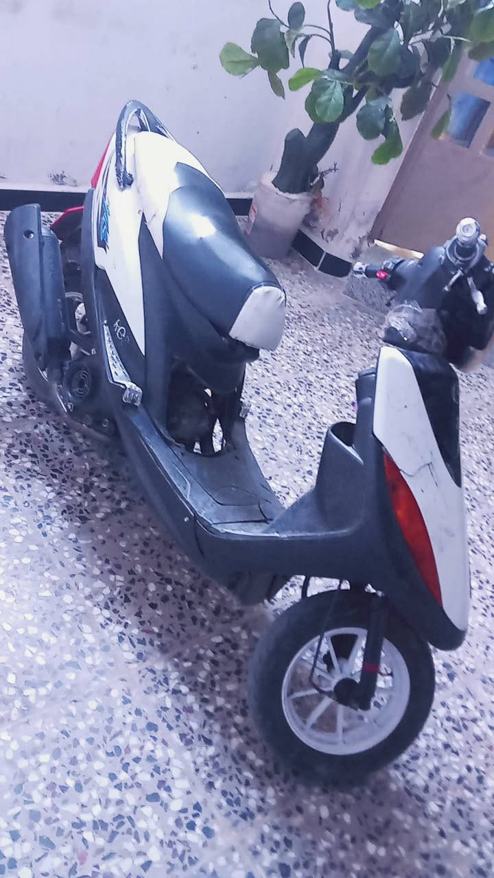 عدله
دراجه بيها لاستيك ولف سعرها 400بغداد جديده نعيريه***********
