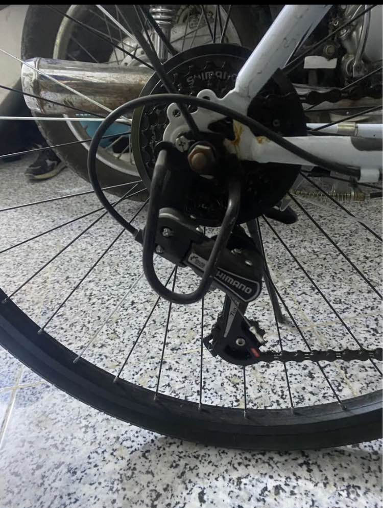 C700رياضي 
مكينه شيمانو 
سعر110وبي مجال بسيط
مكان العمارة حي العسكري عمارة, ميسان


**إذا كنت صاحب هذا الإعلان وتريد حذفه لأي سبب، رجاءا أرسل رسالة إلى الدعم الفني**