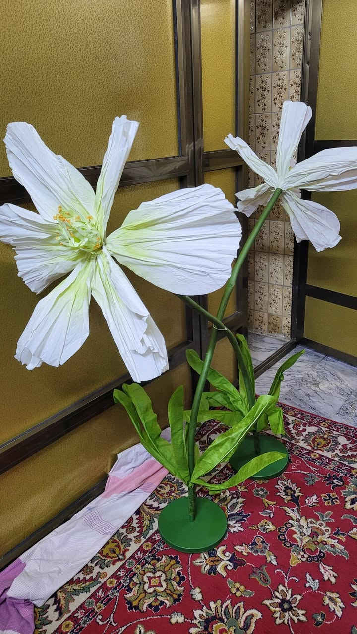 ٣٥


**إذا كنت صاحب هذا الإعلان وتريد حذفه لأي سبب، رجاءا أرسل رسالة إلى الدعم الفني**