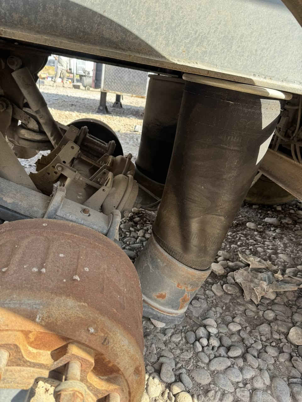 دانکی ترکی للبیع 
بیها تائرە علوج 
سعرە 65$ و مجال 
***********
