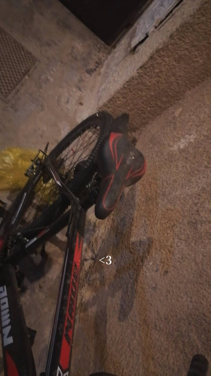 السلام عليكم
​بايسكل حجم 26 جبلي + ستاند موبايل ضد المطر + جنطة علسريع في حال تحب توصل طلبات
​كل هذا ب 120 الف ارخص شي
​الموقع: بغداد الزعفرانية مدينة الشموخ قرب حسينية جعفر الطيار
​بيع مستعجل تعال اقرب وقت لا ينباع تواصل رقمي واتساب ***********
