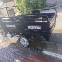 ستوته • ٢٠١٩ • طوريج