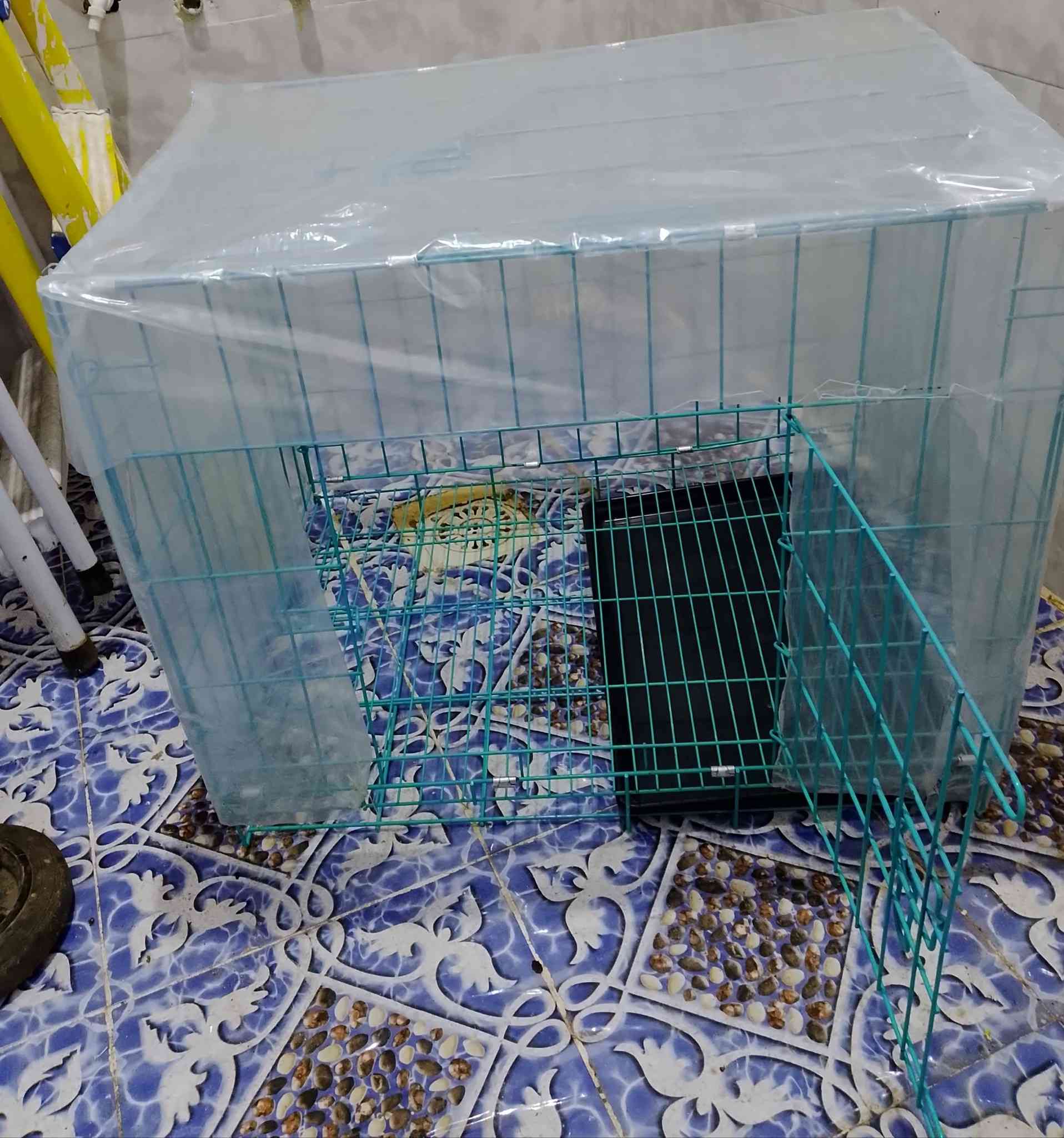 هلو اخوان اخوات عدي غراض لبيع والسعر خاص لو دزلي طلب صداقه مكاني كوت


**إذا كنت صاحب هذا الإعلان وتريد حذفه لأي سبب، رجاءا أرسل رسالة إلى الدعم الفني**