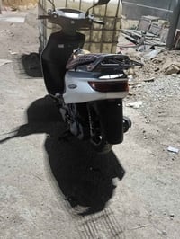 فراشه • شغاله • نضيفه