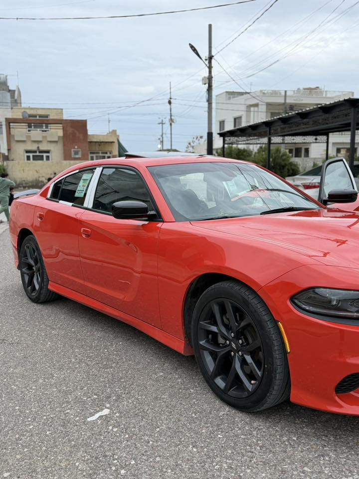 سلام عليكم جارجر جيتي بلص (2023)بس بدون رادار حادث السياره (حالوب كل السياره ) انطيك السياره كله اني السياره فول فتحه كشن كهرباء تايرات تخم جديد السياره نضيفه علا وضع الشركه المكينه كبس شرط دعاميات بدون صبغ السياره فول السياره مكفوله من الصبغ البارد فقط بل باب الخلفي شبر فقط السياره جديده حيل رقم التلفون ***********(مكان السياره اربيل )+لا أتواجد في المعرض اني جناي مو بايع شاري السياره اني كصيته من امريكا 🇺🇸
