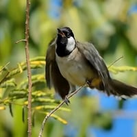 زيادة متابعين • ترويج ممول • الناصرية